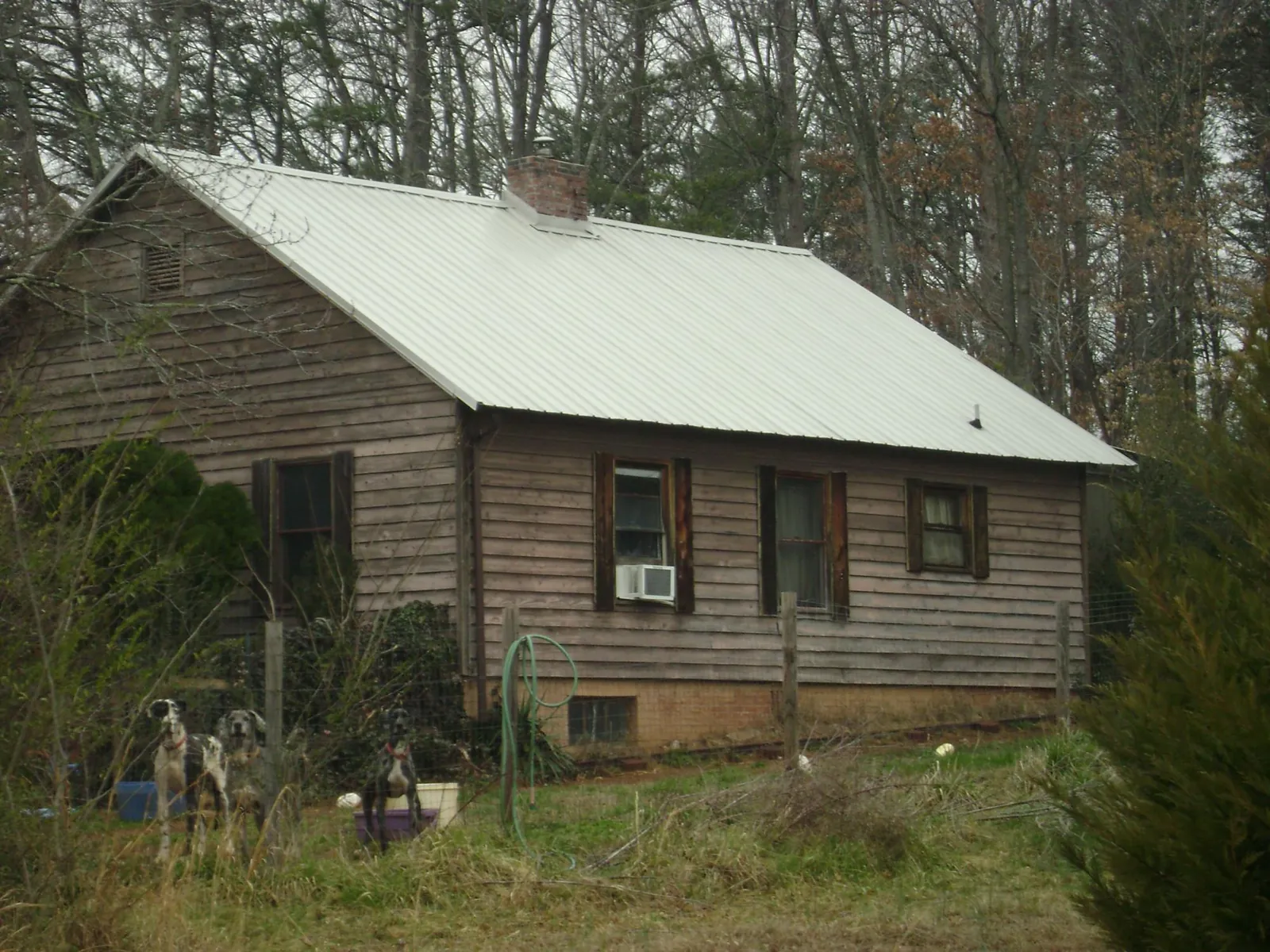 White metal roof on an old wood sided farmhouse, from a Asphalt Shingle Roof Repair job in Clearwater